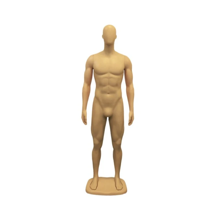 Male Mannequin Full body Adult (1)